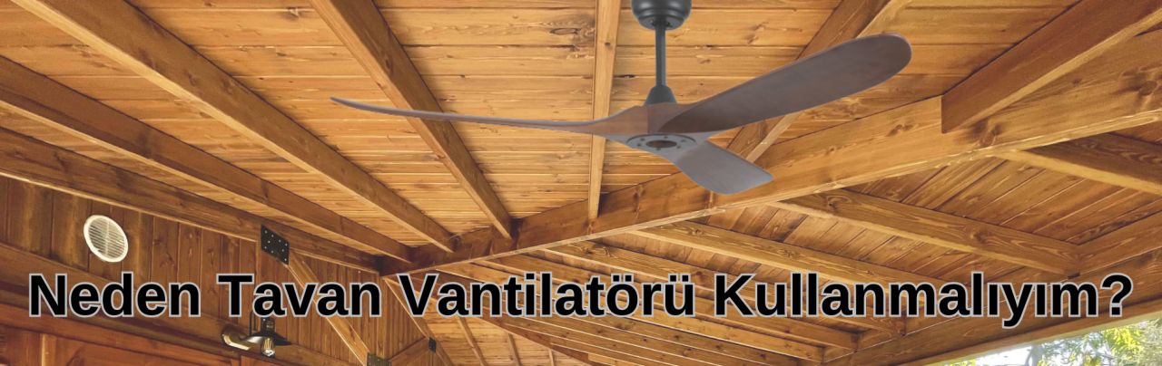 Neden Tavan Vantilatörü Kullanmalıyım?